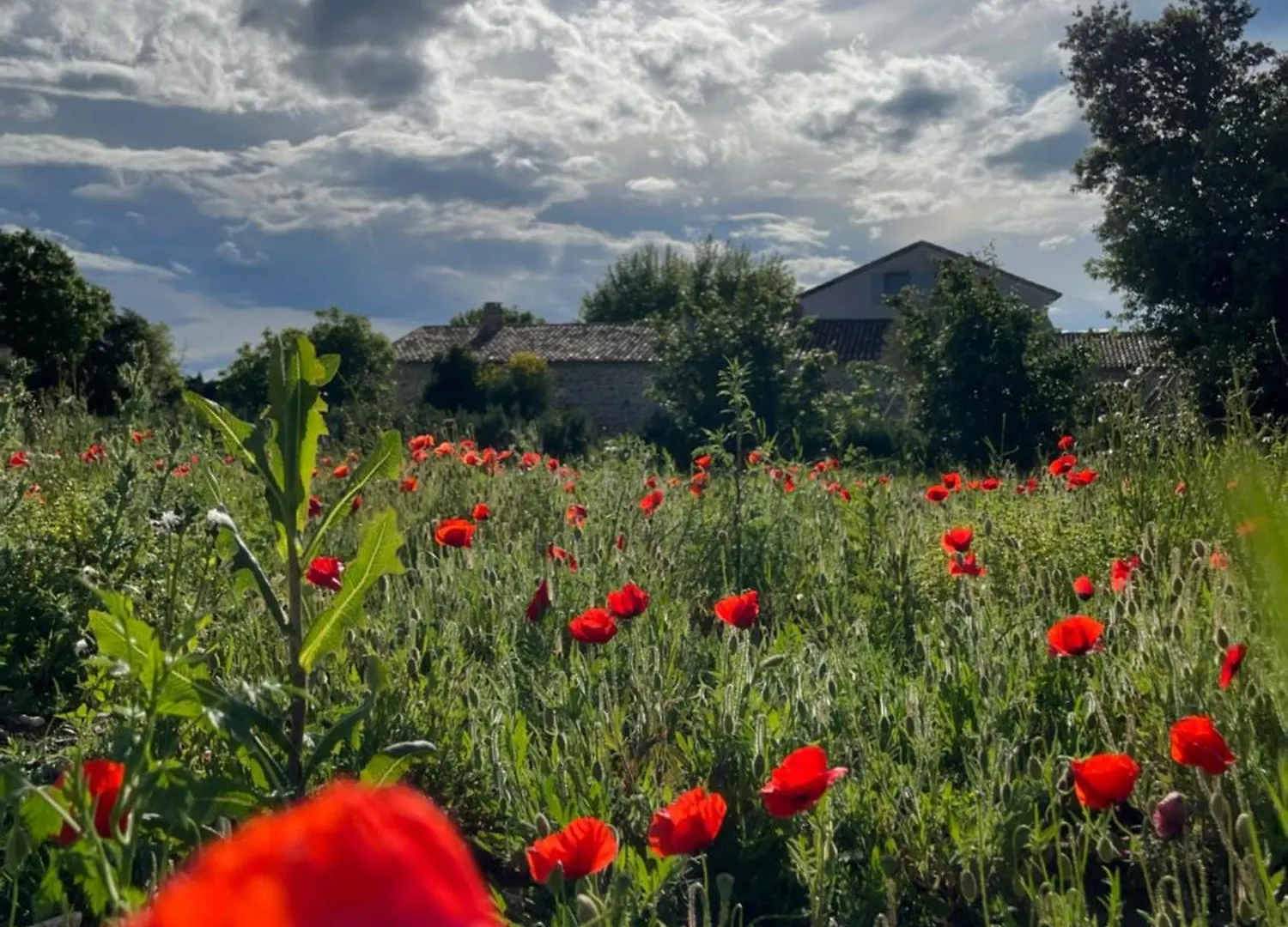 Domaine De La Calamande Grillon Gasthof